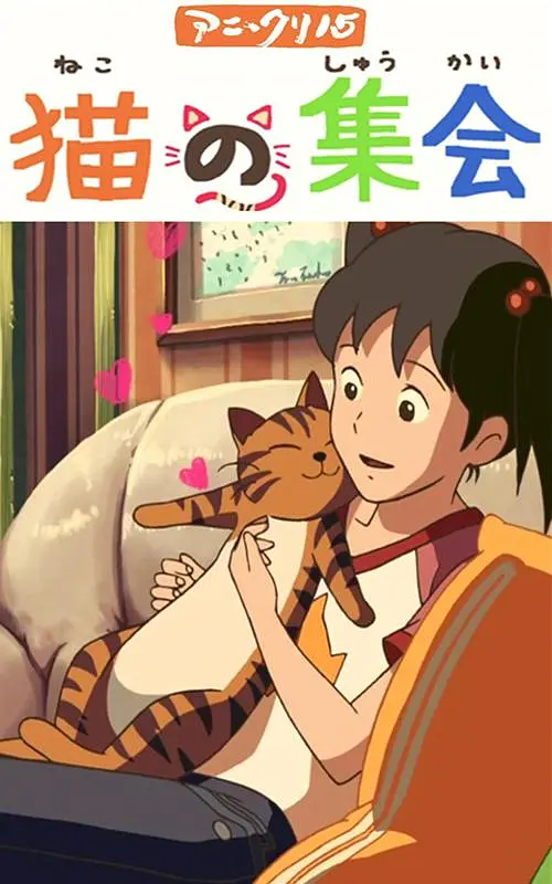gay互操网站